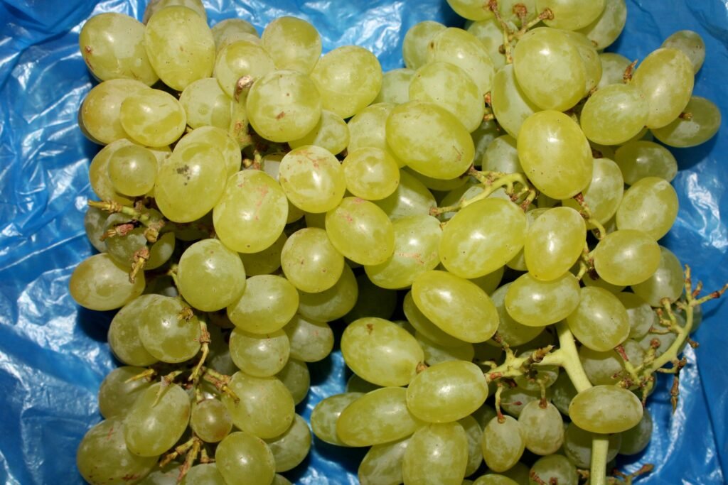 grapes-nochevieja-malaga